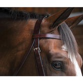 Black Oak FoxTrot Hunt Bridle